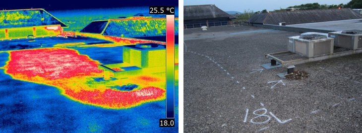 Thermographic Surveys